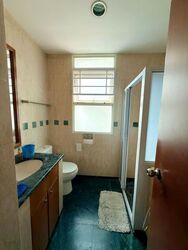 Evergreen Park (D19), Apartment #565046521